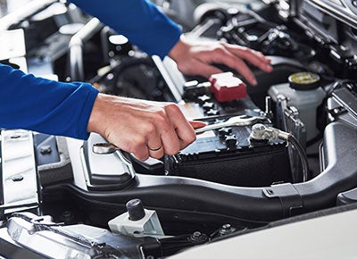 Description of Image 2